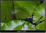 DSCF1284