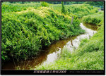 DSCF4475