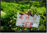 DSCF4480