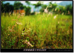 DSCF4484