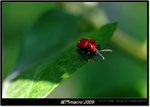 DSCF0796