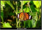 DSCF0815