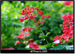 DSCF0826