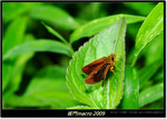 DSCF0832