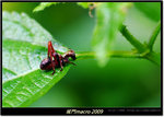DSCF0834