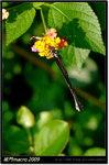DSCF0839