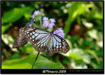 DSCF0847