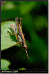 DSCF0855