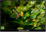 DSCF0869