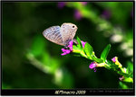DSCF0873