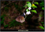 DSCF0876