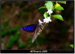 DSCF0877