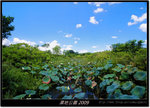 DSCF2642