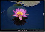 DSCF2650
