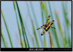 DSCF2685