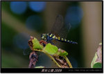 DSCF2716