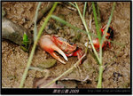 DSCF2731