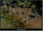 DSCF2739