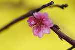 _MG_0779-2