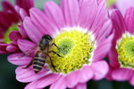 _MG_0798-2