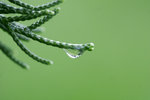 _MG_0838-2