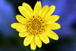 _MG_0881-2