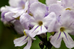 _MG_0884-2