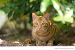 _MG_5117-2