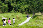 _MG_2503-2