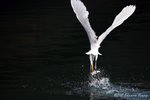 aIMG_7325
