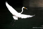 aIMG_7328