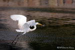 aIMG_7331