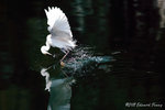aIMG_7457