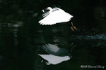 aIMG_7458