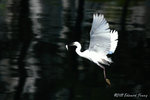 aIMG_7459