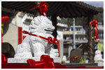 _MG_8021-2