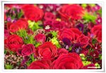 _MG_8190-3