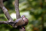 @400mm