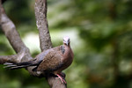 @400mm