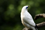 @400mm