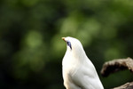 @400mm