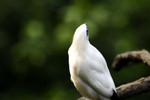 @400mm