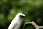 @400mm