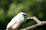 @400mm