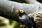 @400mm