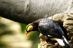 @400mm