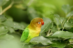 @400mm