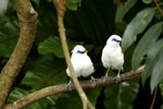 @400mm