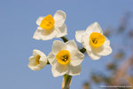 _MG_7878-2