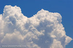 _MG_0725-2